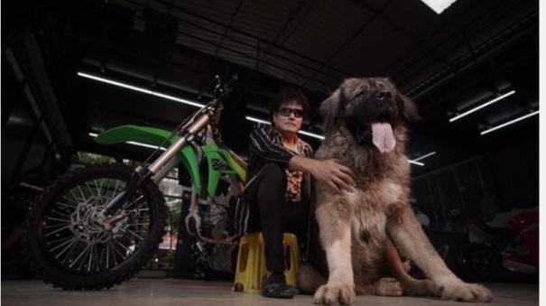 एक बिजनेसमैन जिसने 20 करोड़ रुपये में कोकेशियान शेफर्ड कुत्ता खरीदा  बेंगलुरु के शख्स ने कोकेशियन शेफर्ड डॉग को 20 करोड़ रुपये में खरीदा