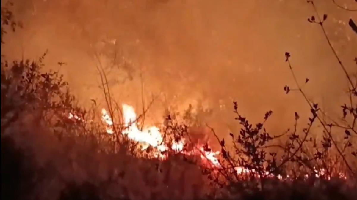 उत्तराखंड: नैनीताल शहर के पास जंगल में लगी आग;  जो सेना मैदान में उतरी |  नैनीताल के जंगल की आग आईएएफ स्टेशन के पास तक पहुंची