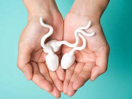 पुरुषो में शुक्राणुओ की कमी का कारण है ये 3 गलतियाँ इन्हें भूलकर भी ना करे पुरुषो में शुक्राणुओ की कमी का कारण है ये 3 गलतियाँ इन्हें भूलकर भी ना करे