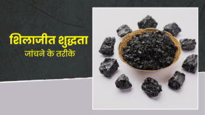 शिलाजीत खाने से होते है ये तीन जबरदस्त फायदे शिलाजीत खाने से होते है ये तीन जबरदस्त फायदे