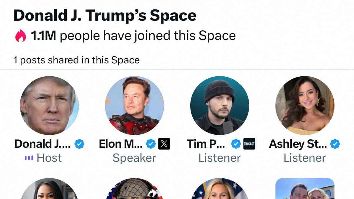 ट्रंप के इंटरव्यू पर डीडीओएस का हमला, मस्क ने लगाया आरोप