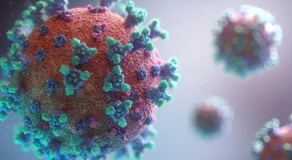 नया XEC कोविड वैरिएंट 27 देशों में फैला