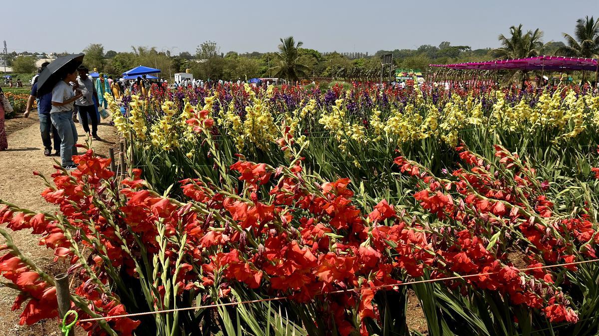 भारत का बायोएनर्जी कृषि सम्मेलन कल बेंगलुरु में शुरू होगा