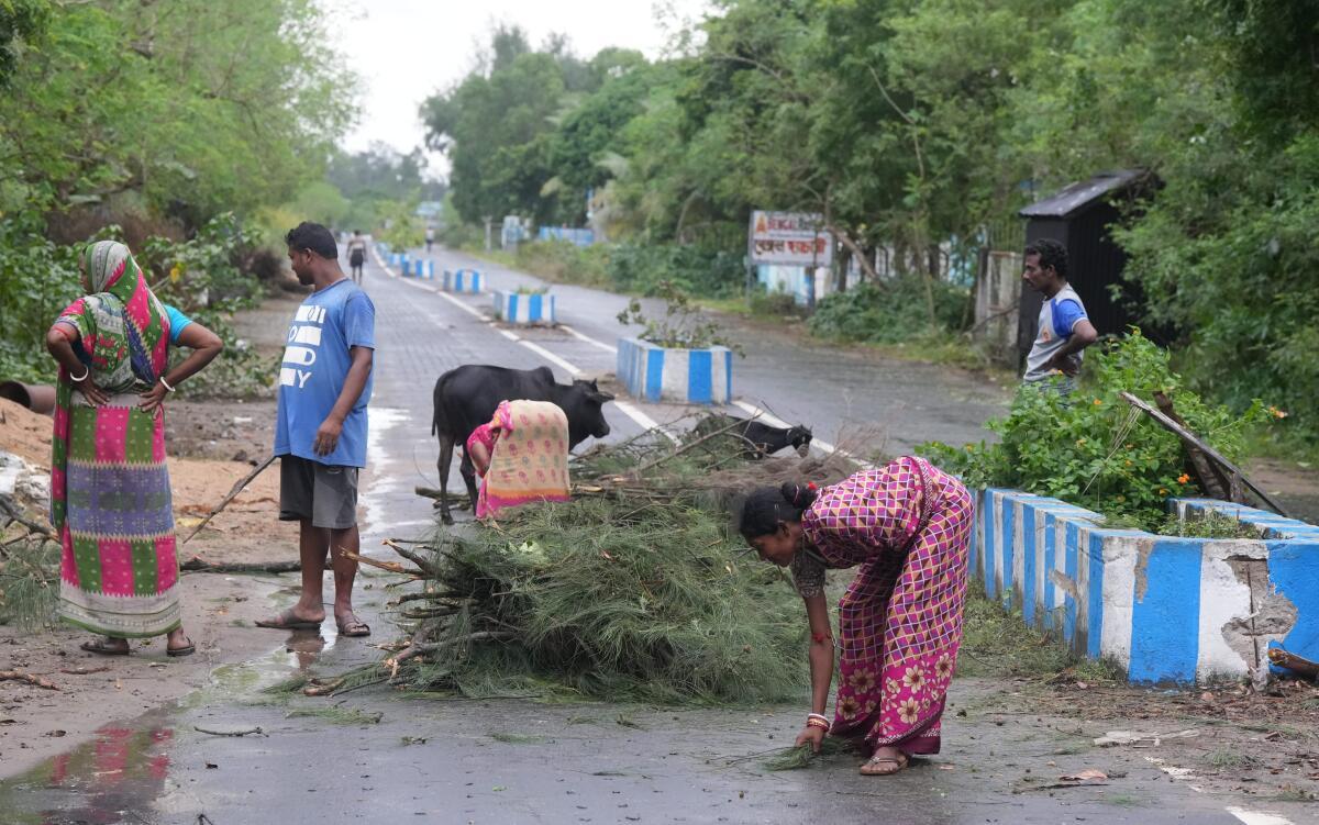 चक्रवात दाना: एनडीआरएफ, ओडीआरएएफ टीमों ने उखड़े पेड़ों को हटाना शुरू किया