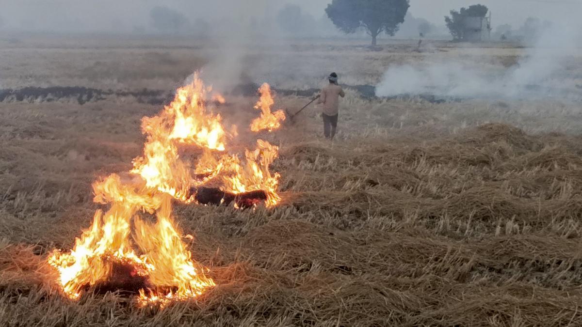 कृषि अपशिष्ट जलाने पर जुर्माना बढ़ाकर 30,000 रुपये किया गया