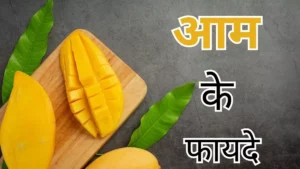 फलों का राजा आम जानिए कैसे हो सकता है आपकी सेहत के लिए लाभदायक फलों का राजा आम जानिए कैसे हो सकता है आपकी सेहत के लिए लाभदायक