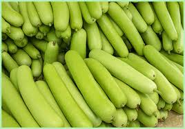 लौकी की सब्जी खाने के बाद कभी ना खाएं ये 2 चीजें, वरना बन जाएगा जहर