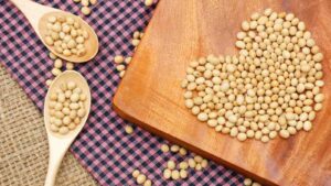 सुबह खाली पेट सोयाबीन खाने से होंगे ये 3 जबरदस्त फायदे एक बार जरूर पढ़ें