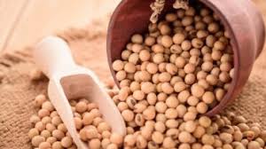 सुबह खाली पेट सोयाबीन खाने से होंगे ये 3 जबरदस्त फायदे एक बार जरूर पढ़ें सुबह खाली पेट सोयाबीन खाने से होंगे ये 3 जबरदस्त फायदे एक बार जरूर पढ़ें