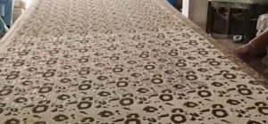 प्रधानमंत्री रोजगार सृजन कार्यक्रम से नीमच की किरण जारिया को नई पहचान