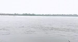 दिल्ली: यमुना का जलस्तर फिर बढ़ा, घाटों पर प्रभावित हुई धार्मिक गतिविधियां दिल्ली: यमुना का जलस्तर फिर बढ़ा, घाटों पर प्रभावित हुई धार्मिक गतिविधियां