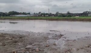 महाराष्ट्र: भीवंडी में महिला का सिर बरामद, धड़ गायब