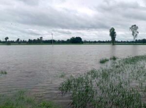 बाढ़ की स्थिति का जायजा लेने के लिए पीएम मोदी ने सीएम भगवंत मान से फोन वार्ता