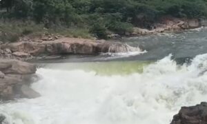 कर्नाटक में भारी बारिश के कारण 11 जिलों में बाढ़ की चेतावनी