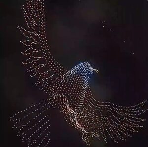 मैसूर दशहरा ने बनाया वर्ल्ड रिकॉर्ड, हजारों ड्रोन से बना विशाल बाघ का आर्टवर्क