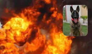 झारखंड के सरांदा में नक्सलियों का IED ब्लास्ट, CRPF डॉग स्क्वाड के जवान और डॉग घायल