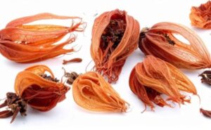 जावित्री के फायदे, जाने इस आर्टिकल में