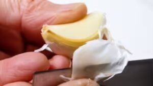 रूप से लहसुन का सेवन करने से आप इन बीमारियों से बच सकते हैं