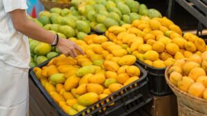 केमिकल से पके हुए 200 किलो आम सीज, जानें नेचुरल और केमिकल से पके आम में क्या अंतर और पहचान होती है?