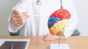 कमजोर दिमाग को तेज करने के लिए करें इन चीजों का सेवन, जरुर जानें