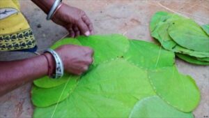 इसलिए दोना-पत्तल में खाते थे भारतीय, रहस्य जानकर दांतों तले उंगलियां दबा लेंगे