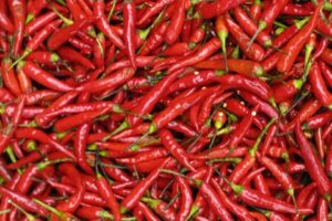 लाल मिर्च खाने के फायदे जानकर हैरान रह जाएंगे आप